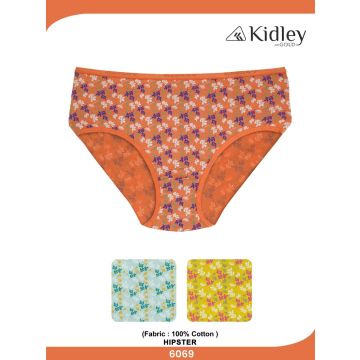 Women Hipster Cotton Panties (6069)