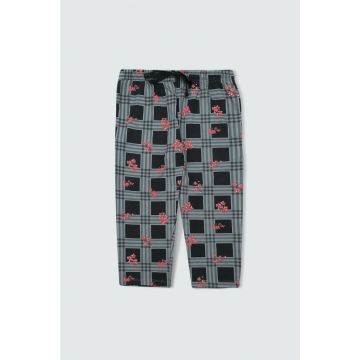  Coloured Capris Sea Green