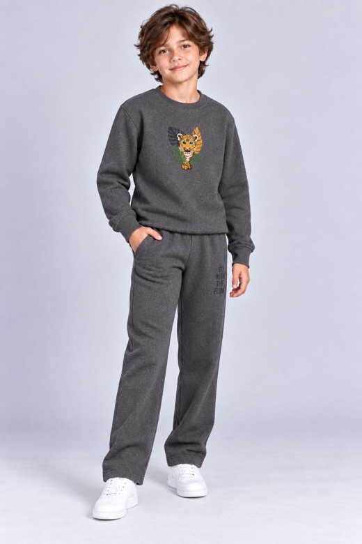 Boy in a grey sweatshirt